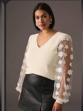 Dolan sheer sleeve appliqué sweater